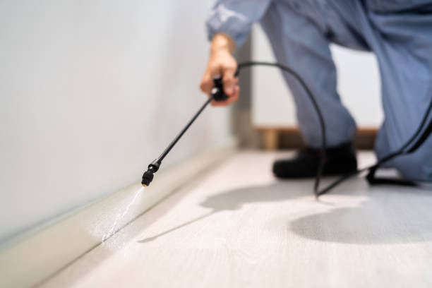 Licensed Termite Control service in University of California-Santa Barbara, CA - Nex Pest Control