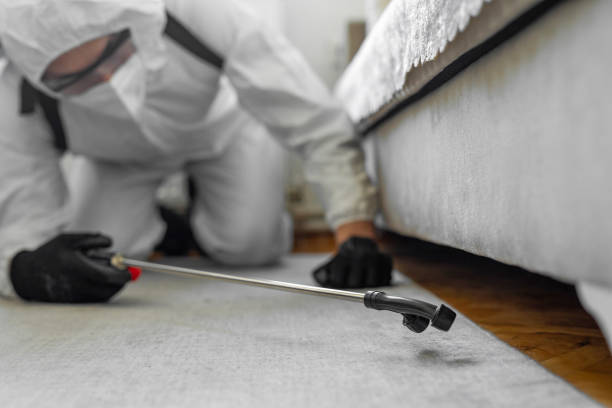 Professional Termite Control technician working in University of California-Santa Barbara, CA