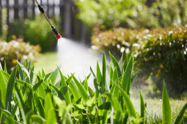24/7 Emergency Termite Control experts in University of California-Santa Barbara, CA