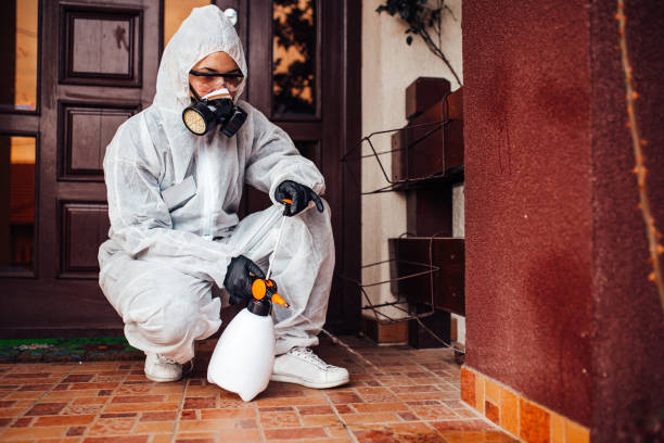Reliable Termite Control contractor in University of California-Santa Barbara, CA by Nex Pest Control